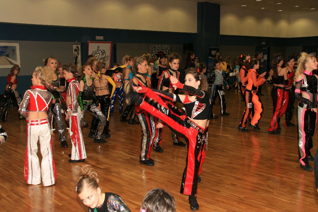 Mistrovstvi České republiky v disco dance 2008